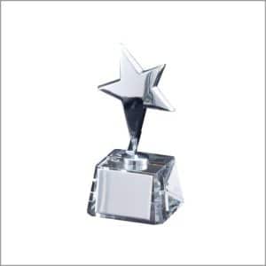SILVER STAR WITH CRYSTAL BASE. Engraving included. Some exceptions may apply.